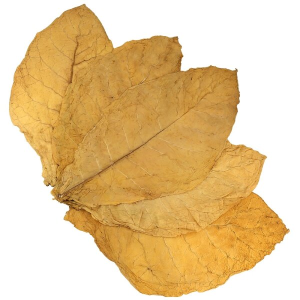 Feuilles de tabac Virginie dAllemagne Tabac brut 1kg