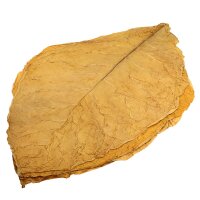 Feuilles de tabac Virginie dAllemagne Tabac brut 10kg