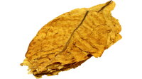 Italia Virginia Tabakblätter Rohtabak 5Kg