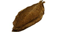 Feuilles de tabac Kentucky Sun Cured Tabac brut 1kg