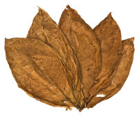 Feuilles de tabac Orient Samsoun Tabac brut