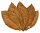 Feuilles de tabac Orient Samsoun Tabac brut