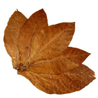 Feuilles de tabac Burley Tabac brut 5kg