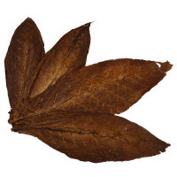 Feuilles de tabac Kentucky Fire Cured Smoked Tabak brut 500g