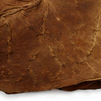 Feuilles de tabac Kentucky Fire Cured Smoked Tabak brut 500g