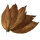 Feuilles de tabac Kentucky Fire Cured Smoked Tabak brut 500g