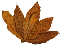 Feuilles de tabac Orient Krumovgrad Tabac brut
