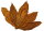 Feuilles de tabac Orient Krumovgrad Tabac brut 500g